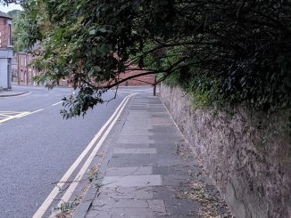 Low hanging branches obstructing a footway by the side of the road.