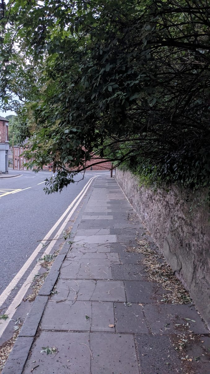 Low hanging branches obstructing a footway by the side of the road.