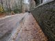 A narrow pavement covered with sodden leaves and remains of snow.