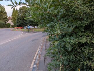 Pavement on southwest side of Quarryheads Lane, near the bottom of Potters Bank. The pavement is narrow anyway, and is now completely obstructed by an overgrown hedge.