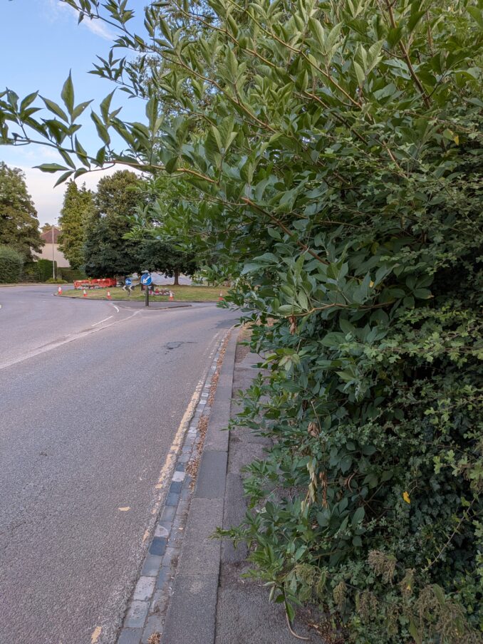 Pavement on southwest side of Quarryheads Lane, near the bottom of Potters Bank. The pavement is narrow anyway, and is now completely obstructed by an overgrown hedge.